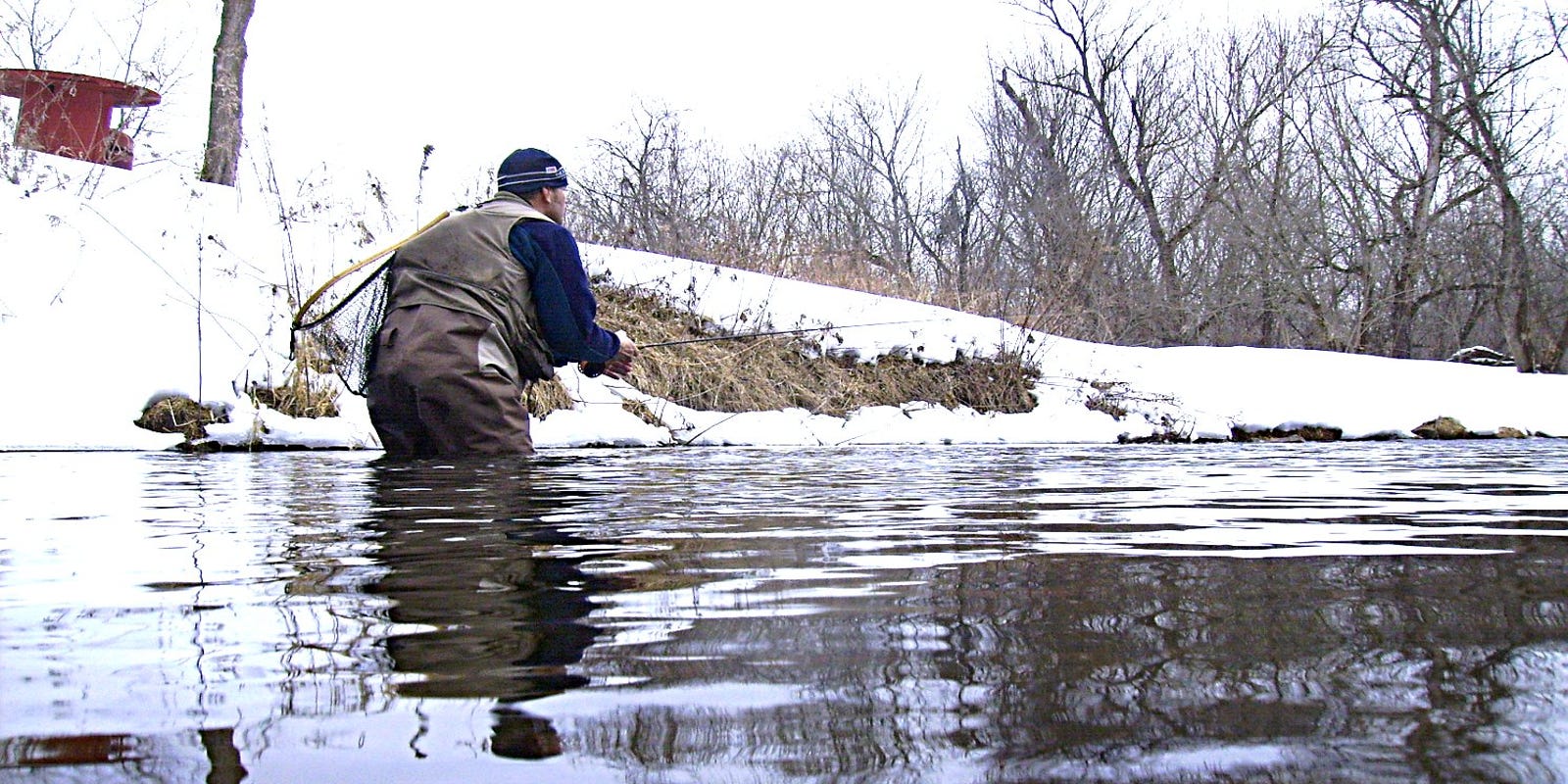 Cabin Fever Day Supports Environmental Work