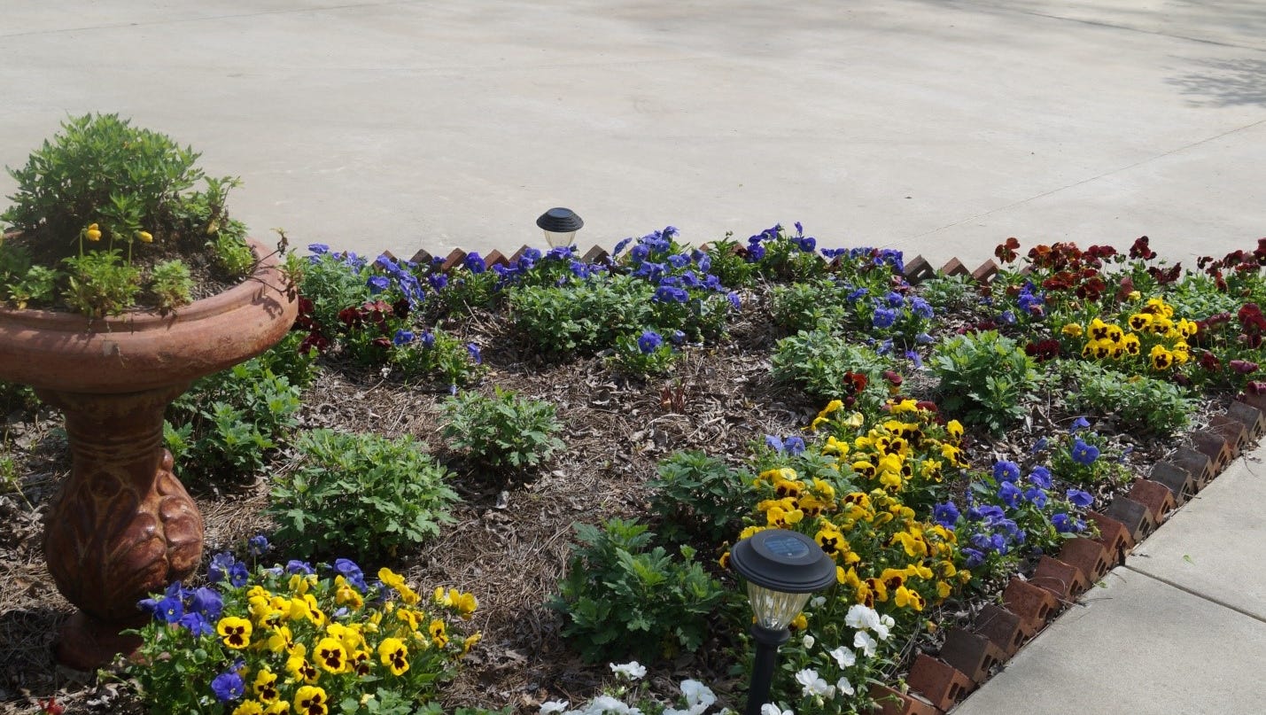 7 easy steps to create a beautiful flower bed