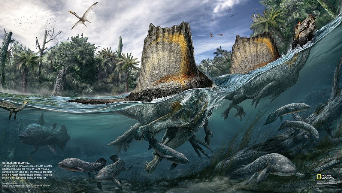 Melodramatisch Systematisch knal Giant dinosaur in the water: Spinosaurus!