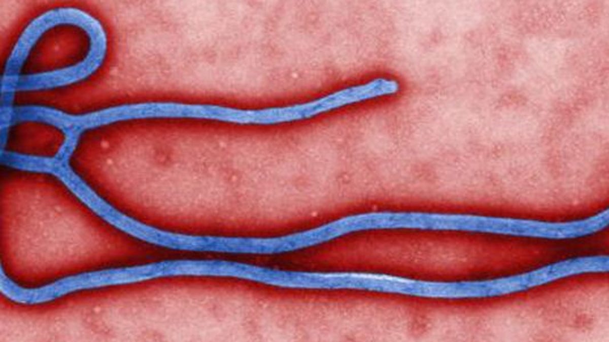 County Ebola Unlikely But We Re Prepared