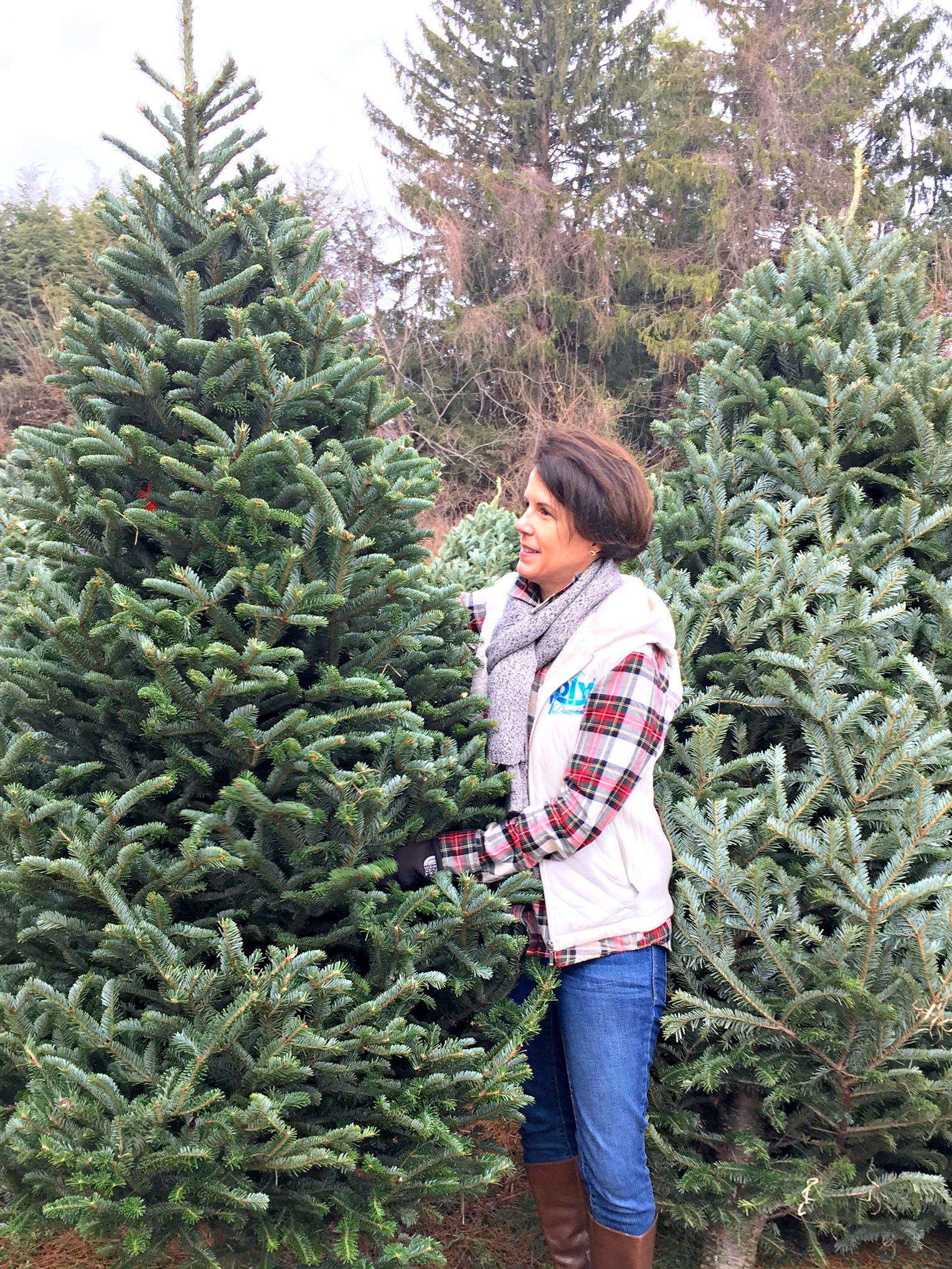 My Go To Christmas Tree And How To Hang Lights