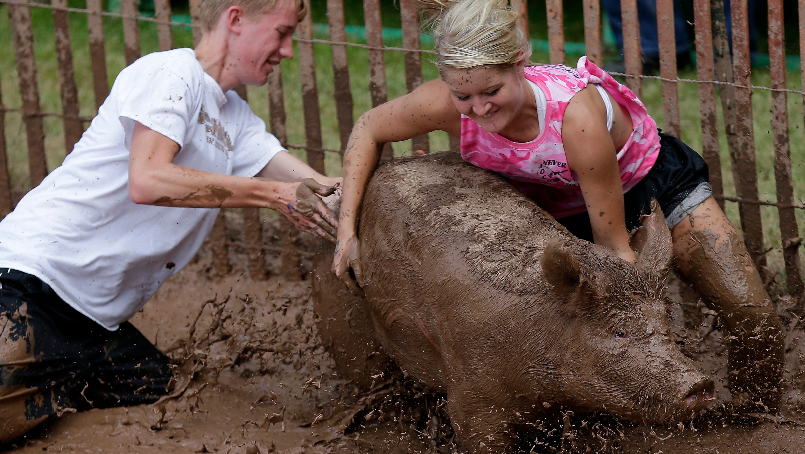 Group says it has video of abuse at pig wrestling event Group says it has video of abuse at pig wrestling event