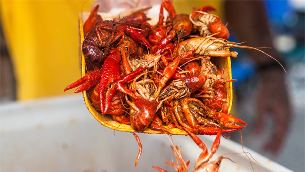 18 Delicious Facts About Louisiana Crawfish