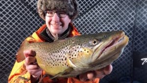 The brown trout fishery on Chequamegon Bay has really been coming on strong over the past few seasons,