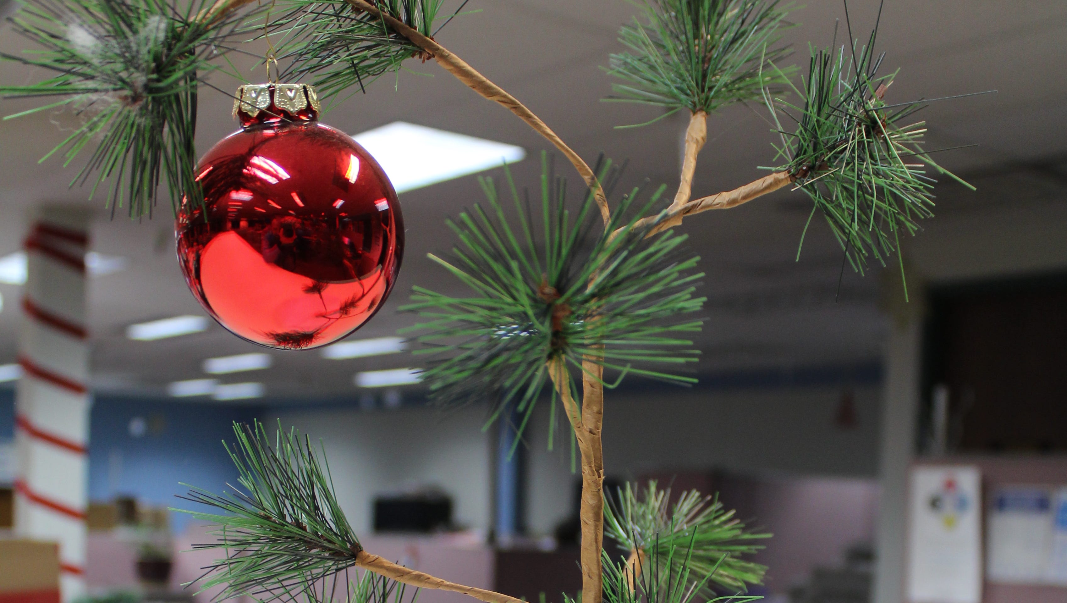 Christmas Tree Bug Warning 2022 How Charlie Brown Killed The Aluminum Christmas Tree