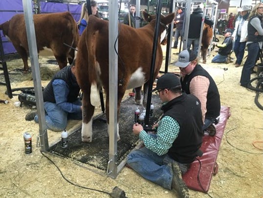 636505939349527549-stock-show-1484259995731-7672106-ver1.0.jpg