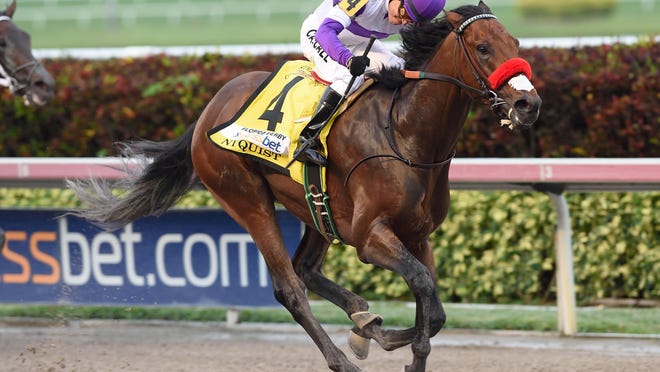 Nyquist, ridden by Mario Gutierrez, runs away in the Florida Derby on April 2 at Gulfstream Park, winning by eight lengths.