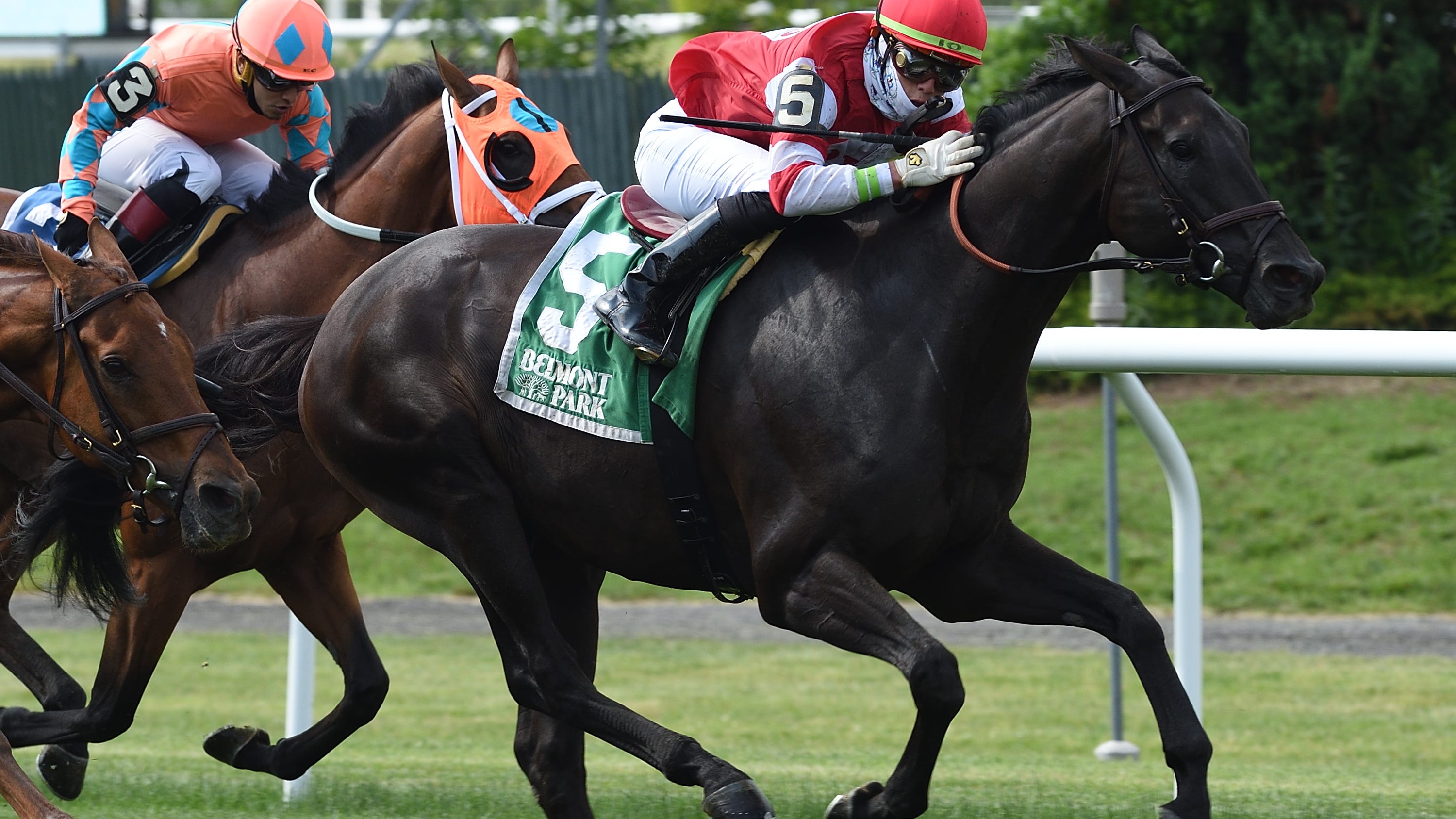 Aqueduct Racetrack Entries And Results 41
