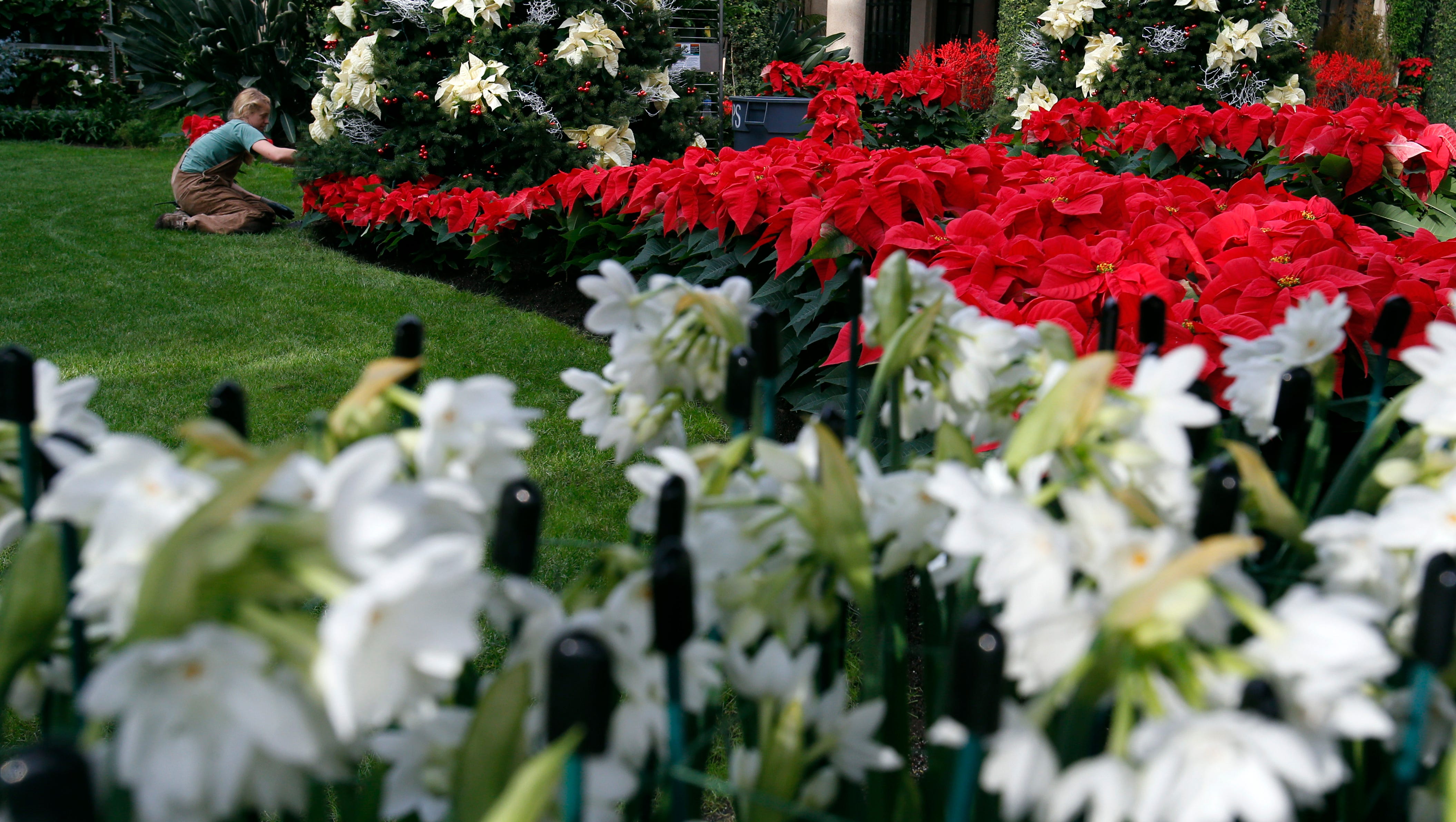 Longwood Gardens Wings Into Winter