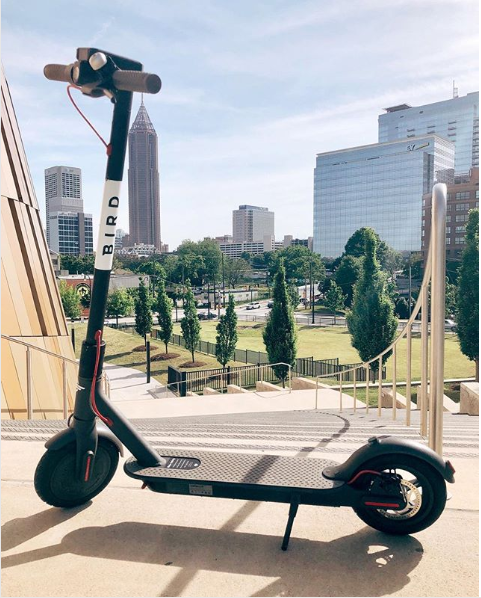 Scooter Bird Cost 2025