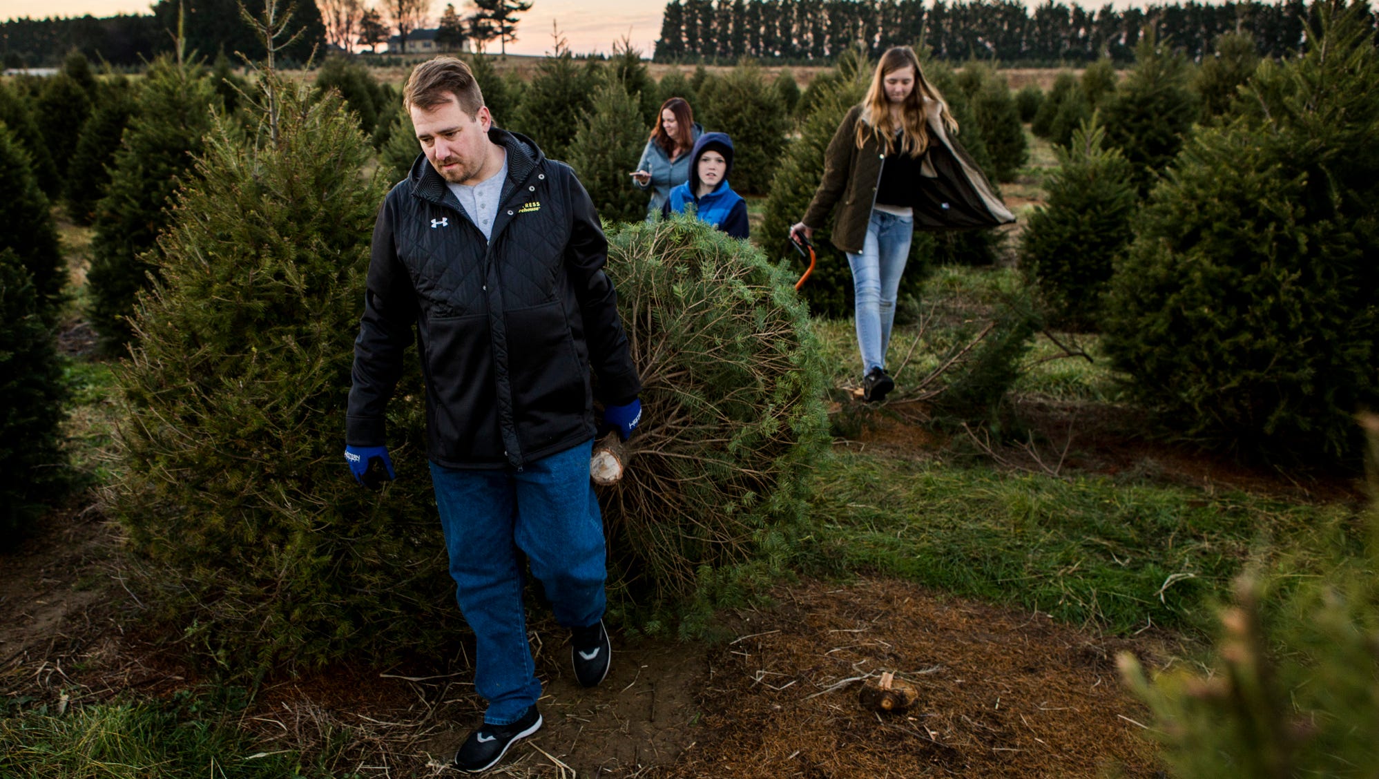 From Seedling To Santa Delaware S Christmas Tree Farmers