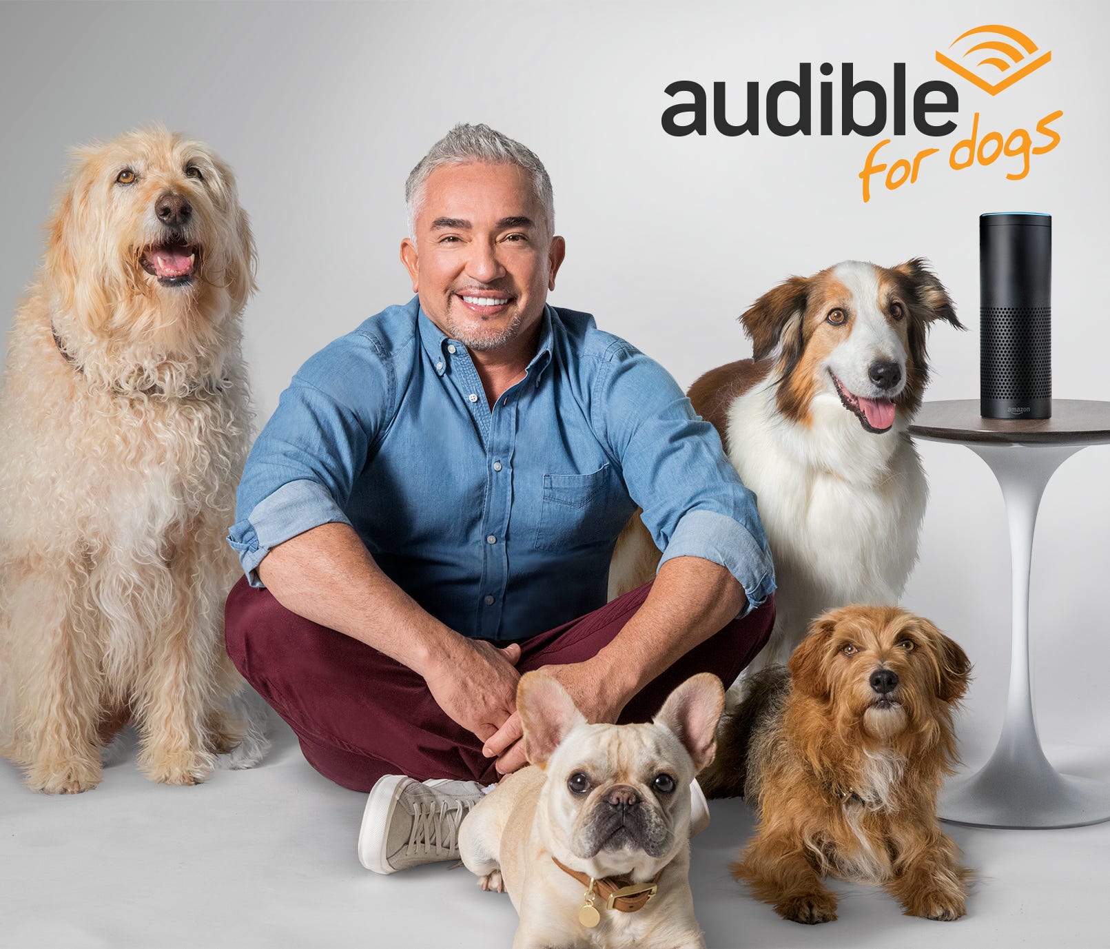 Audible is teaming up with Dog Whisperer Cesar Millan to get your dog to listen to classic literature.