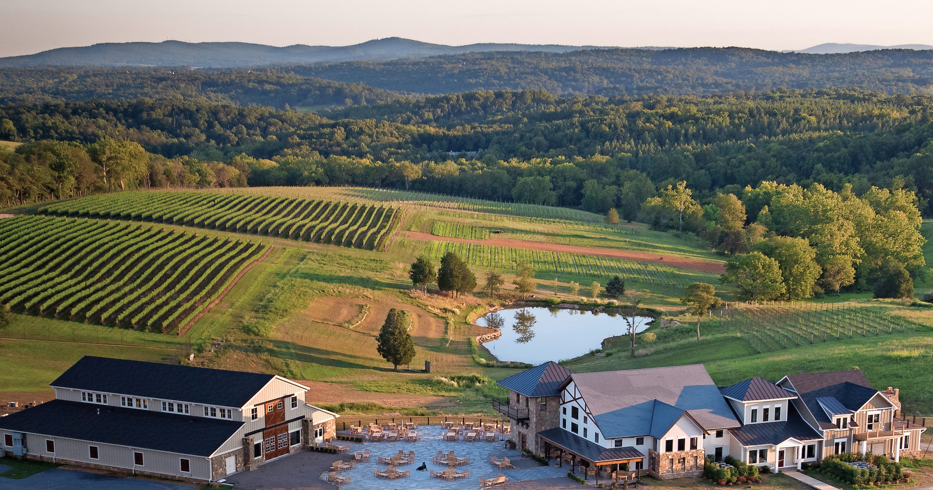 Northern Virginia's vineyards shine