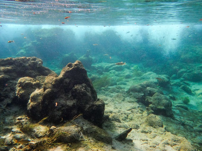Fossil Creek permits How and where to get one