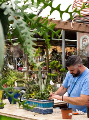 Smashing Succulents Diy Crowd Crafts Miniature Gardens