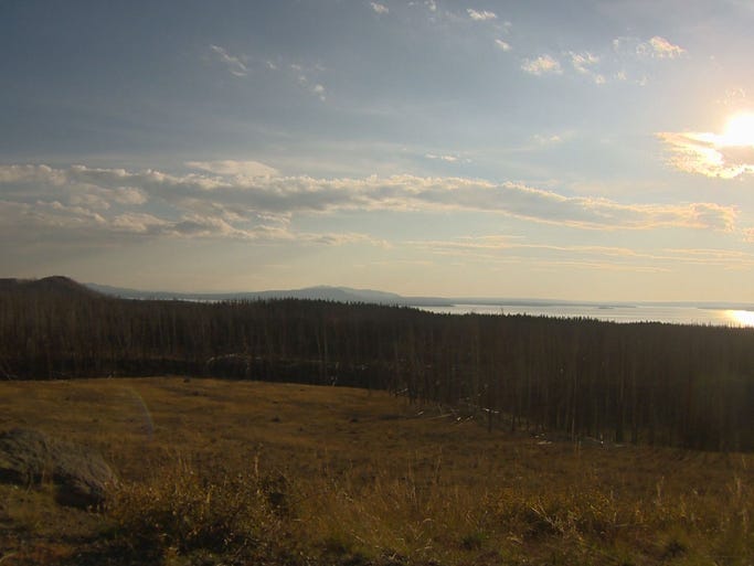 Pilot Who Crashed Drone in Yellowstone Receives Ban, Fine From Federal Court