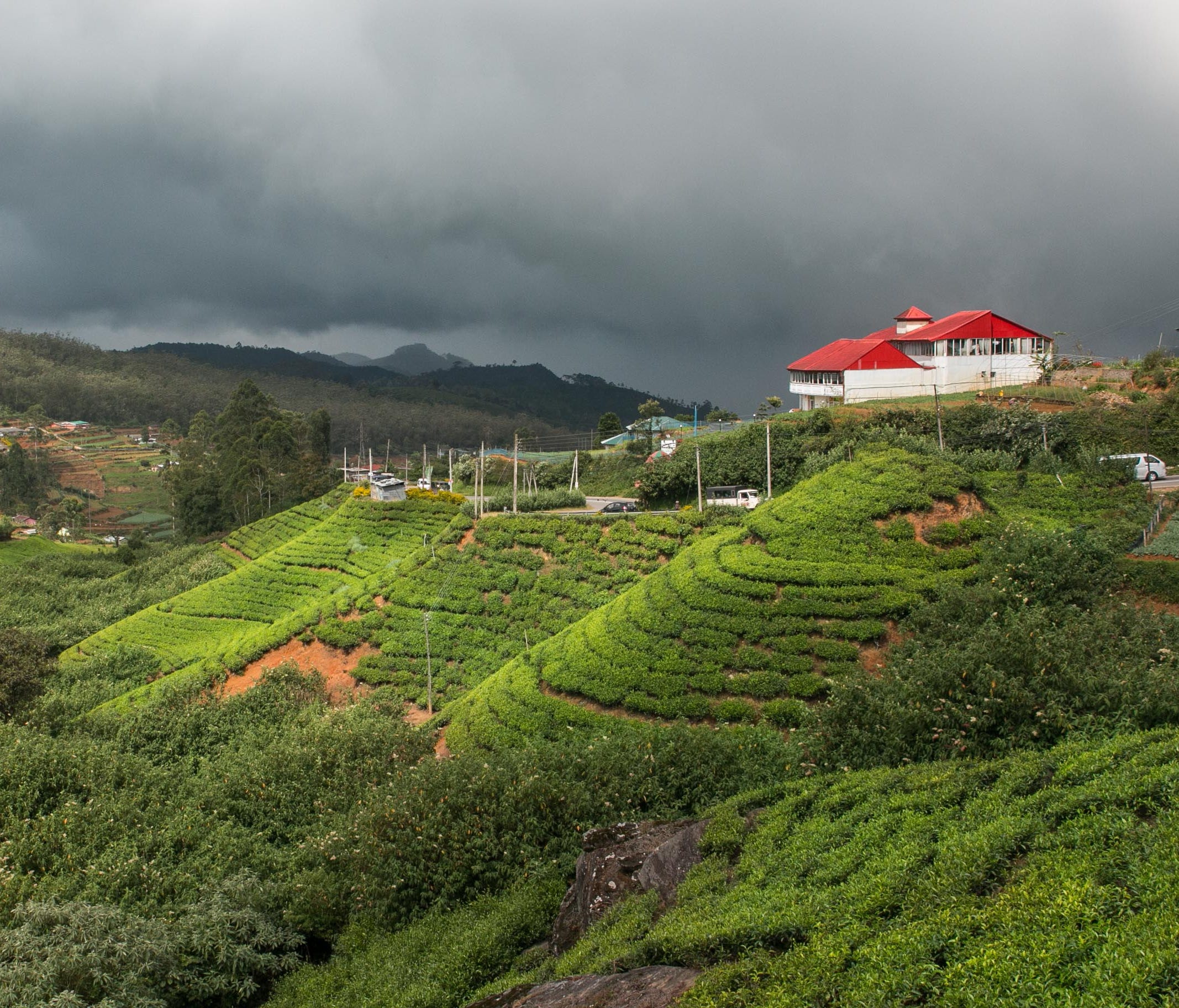 Reside amidst the lush beauty of Sri Lanka's fields.