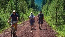 Contributed photo On Saturday, a nature walk and bicycle tour will be offered on Great Shasta Rail Trail as part of National Trails Day.