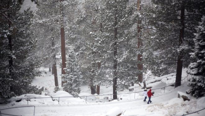 Snow falls on Mt. San Jacinto State Park on Thursday, Dec. 13, 2012.