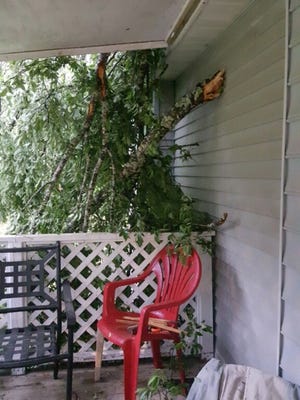 Severe weather Sunday morning caused a tree to fall on a Wakulla resident's home. No one was injured.