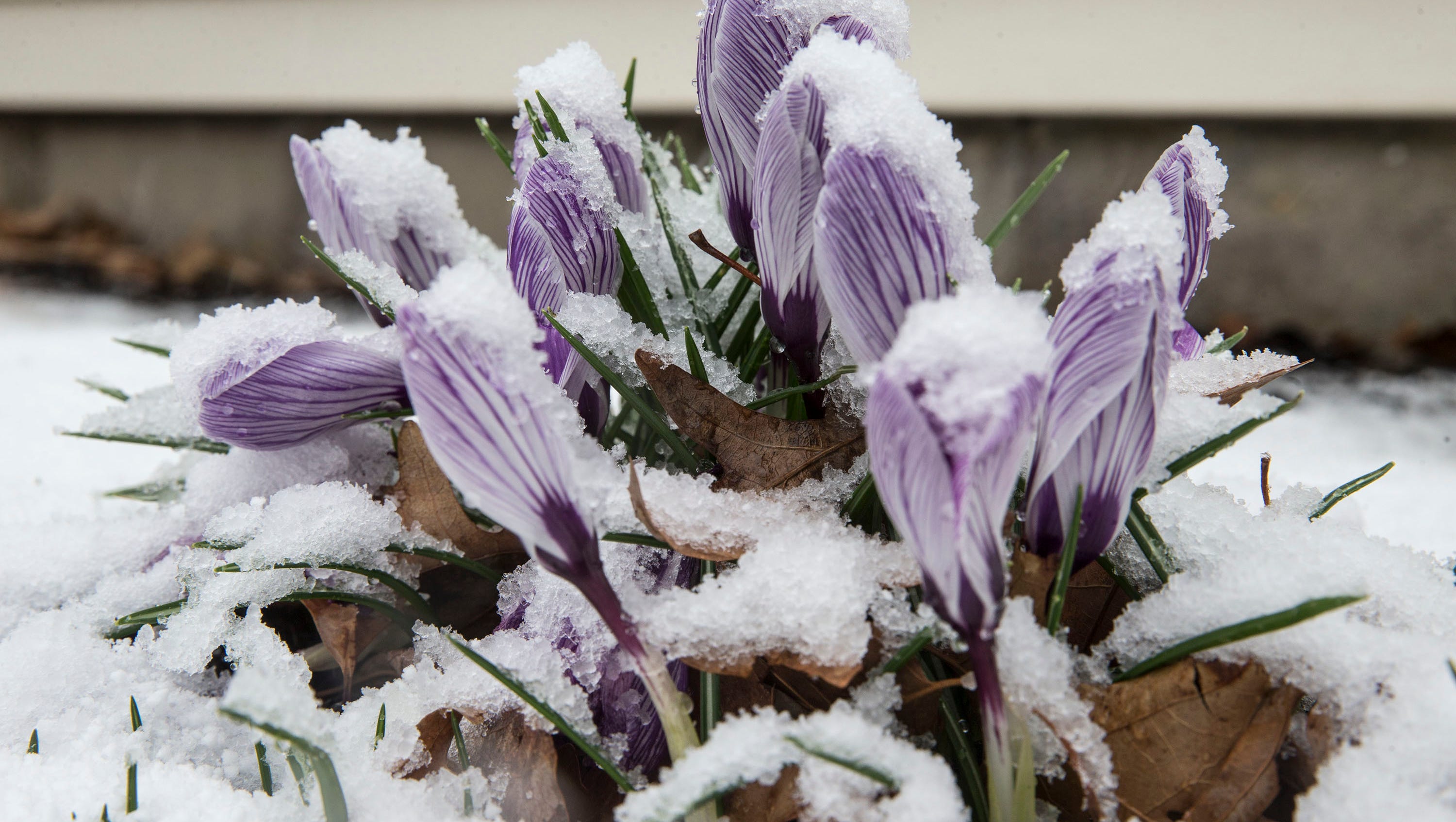 Nj Snowstorm Winter Storm Warning Issued South Jersey To Get Hit Hardest