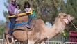 Chintaboina Ramprasad, of Tempe, rides a camel with