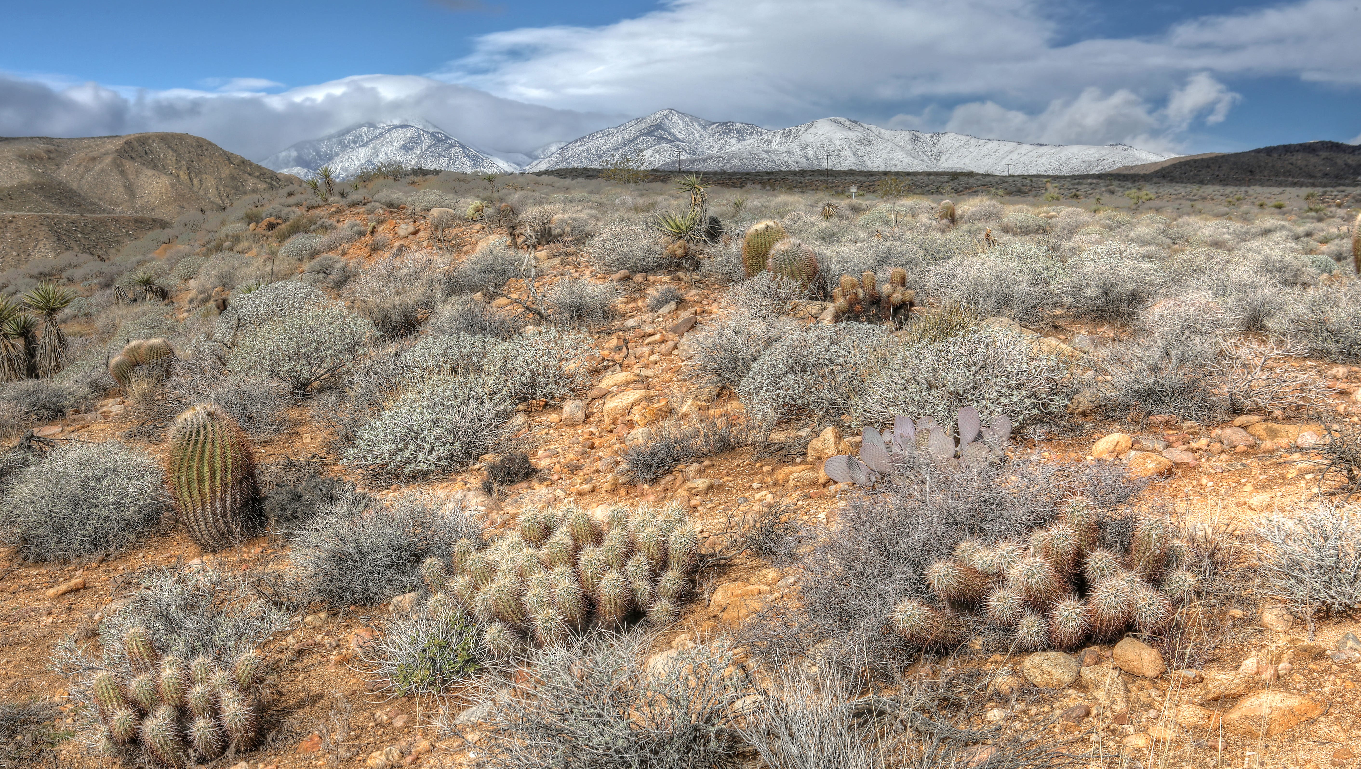 California Desert Artists Offer Poetry Prose Essays On Beauty