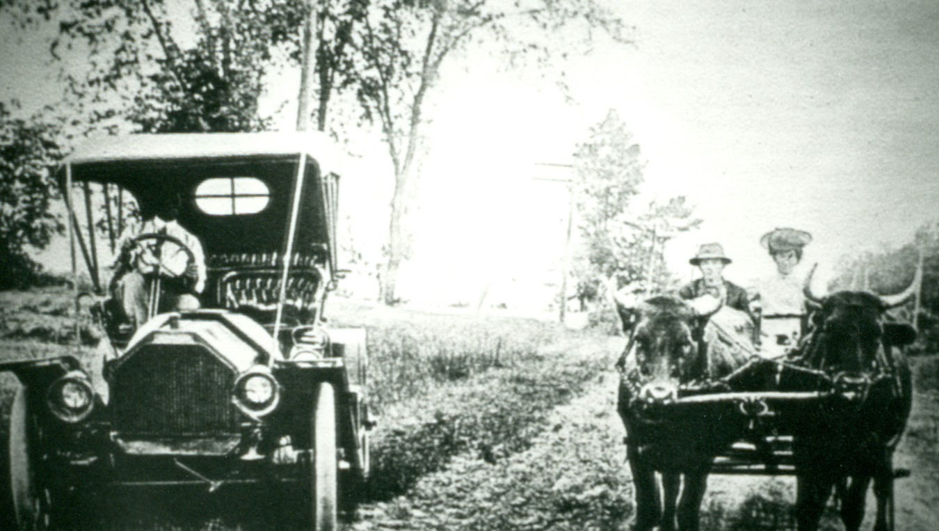 Oxen were once Sheboygan County's choice beasts of burden