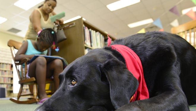 Moose, a therapy dog, listens to Tearney Hardin, 5, of Fremont read with her aunt, Rachel Rollins, at the Birchard Library. The library's Ruff and Ready Readers program is scheduled for October 9 and 23.