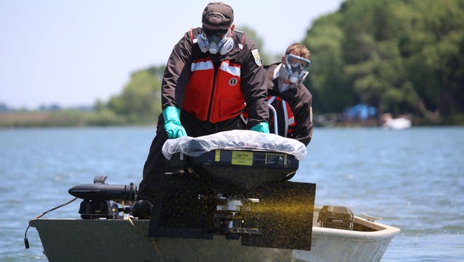 Fish biologists Dave Keffer and Matt Kipps use a pesticide to search for lamprey larvae.
