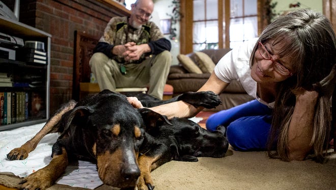 After being lost for seven months, Ruger the dog found his way home. Jeanne and Alan Reid had all but given up on finding their dog, but are now celebrating his homecoming. Alan kept repeating, “I just wish he could talk so he could tell us where he’s been.”