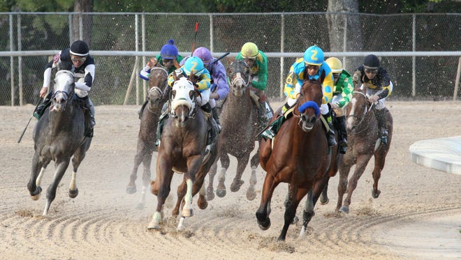 Mr. Z, in middle in white blinkers, briefly looked like a threat to American Pharoah in the Arkansas Derby before finishing third. Both are owned by Ahmed Zayat.