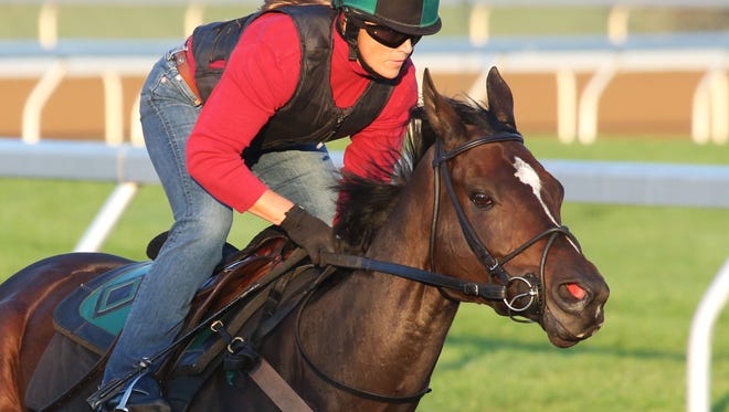 Breeders' Cup Distaff contender Frivolous working recently at Keeneland under trainer Vicki Oliver.