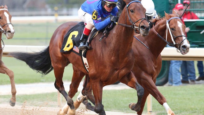 Kentucky Derby 16 Odds Price Drops On Smarty Jones Stakes Top Three Finishers Kentucky Derby 16 Odds Price Drops On Smarty Jones Stakes Top Three Finishers