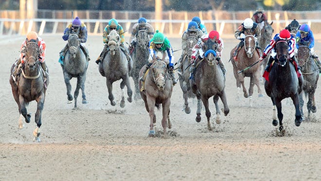 Kentucky Derby 16 Odds Southwest Stakes Winner Stakesuddenbreakingnews Now A Favorite Kentucky Derby 16 Odds Southwest Stakes Winner Stakesuddenbreakingnews Now A Favorite