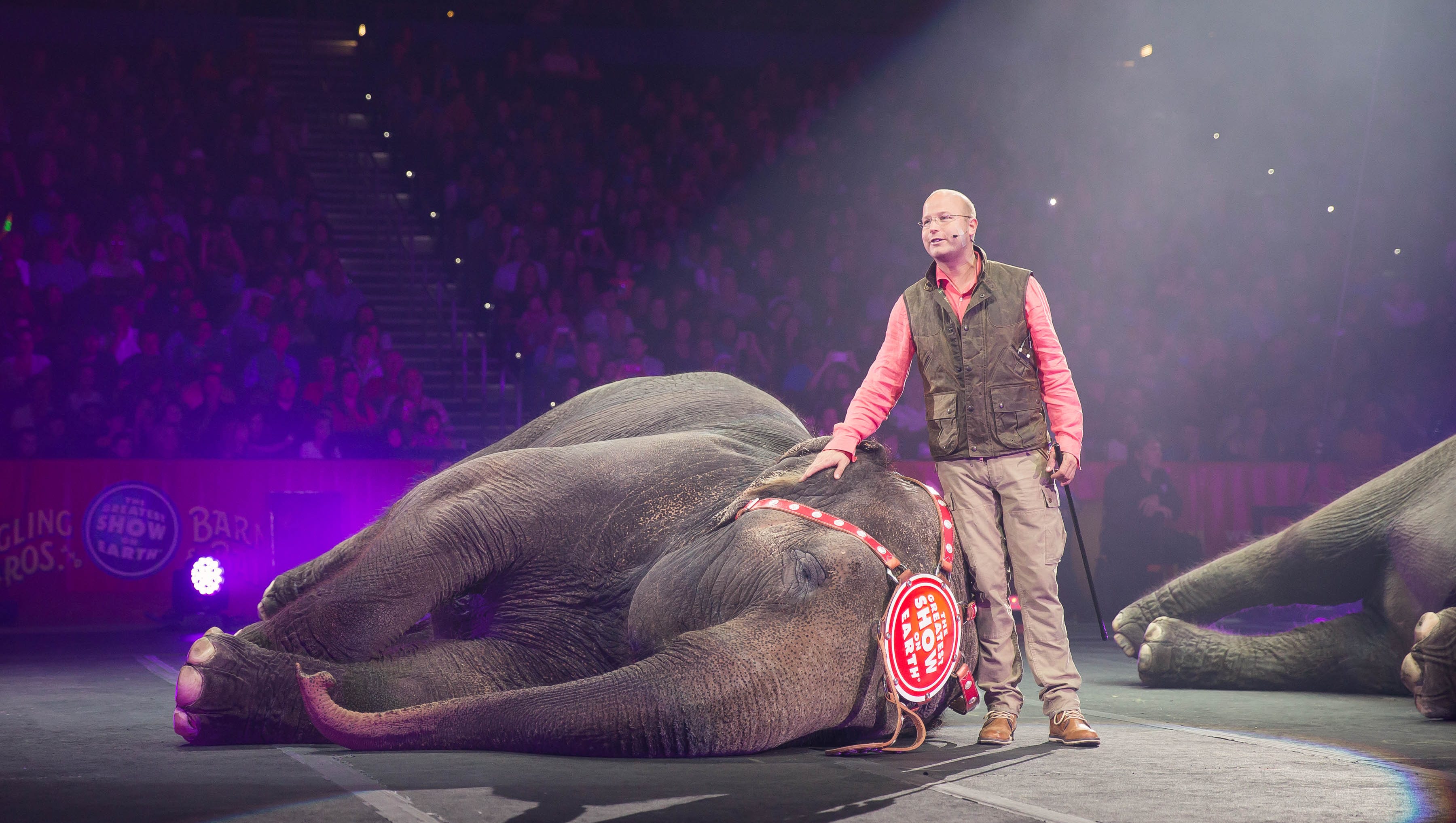 The Circus Elephants Final Tour