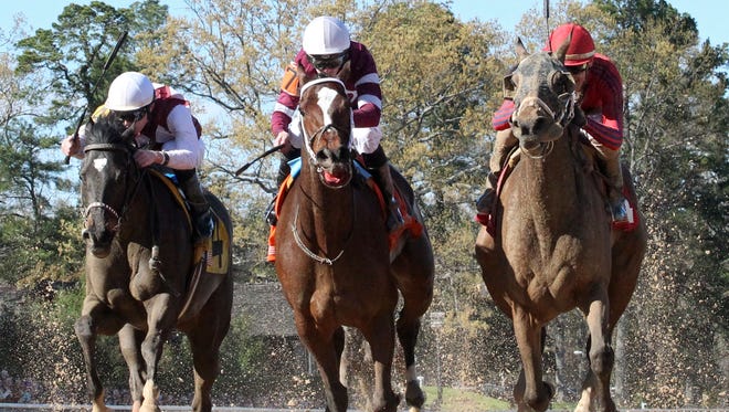 Apple Blossom 2016 Champion Untapable To Face Five Friday