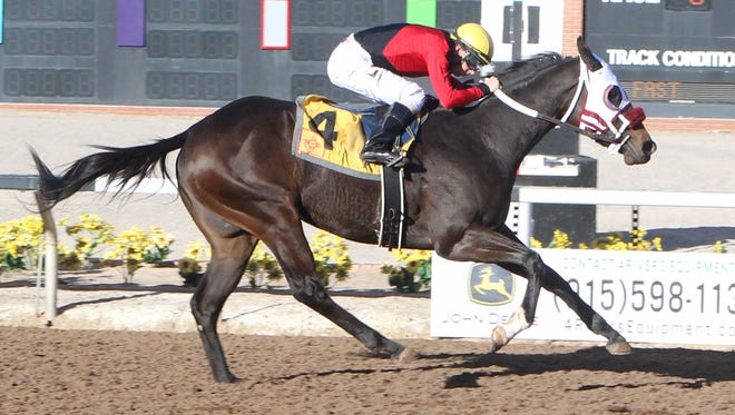 Hute won the 15th running of the Red Hedeman Mile on Saturday at Sunland Park Racetrack & Casino for trainer Joel Marr. Ken Tohill was the winning jockey.