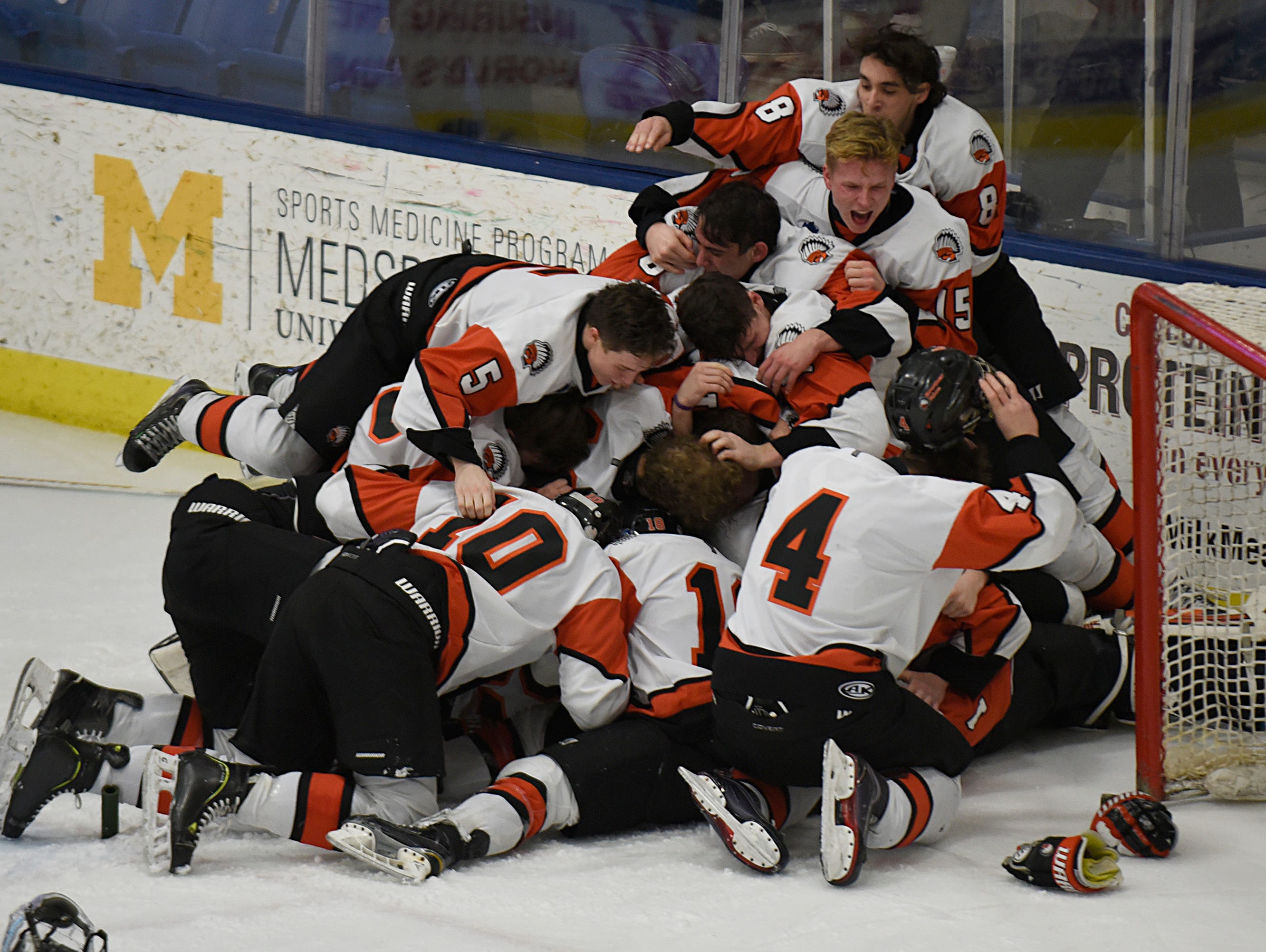 Brother Rice routs Forest Hills to win Division 2 hockey title | USA