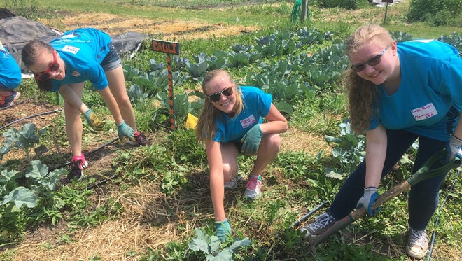 Flambeau FFA members pull weeds from the 1.5 acre garden at the Goodman Youth Farm during the 9th annual Wisconsin FFA Day of Service on June 12, 2017.