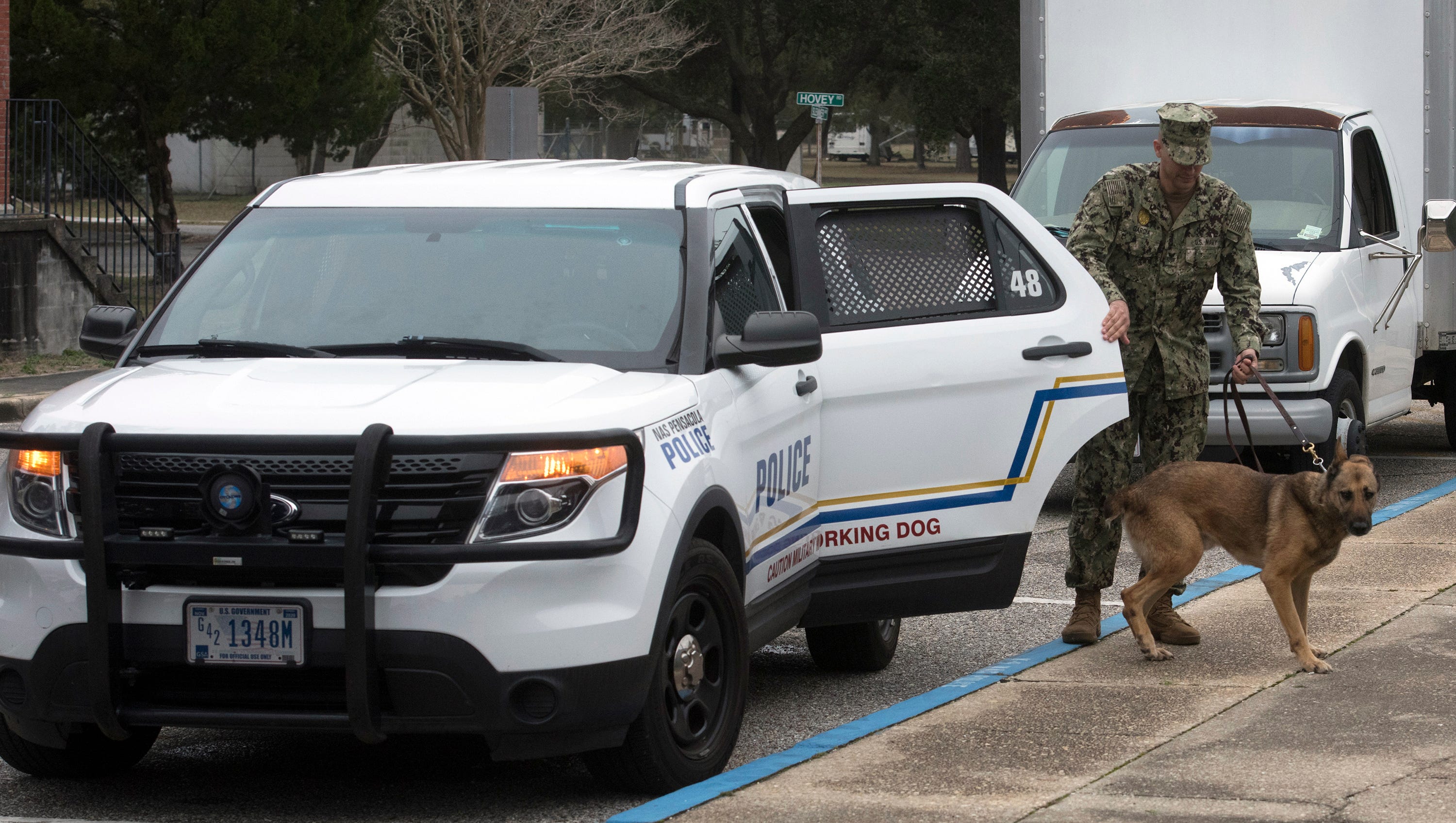 Pensacola Nas Military Dogs Are Some Of The Busiest In The Military Pensacola Nas Military Dogs Are Some Of The Busiest In The Military