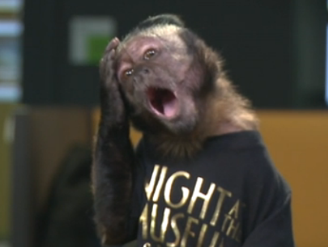 Crystal The Monkey Weighs In On Sony Crisis
