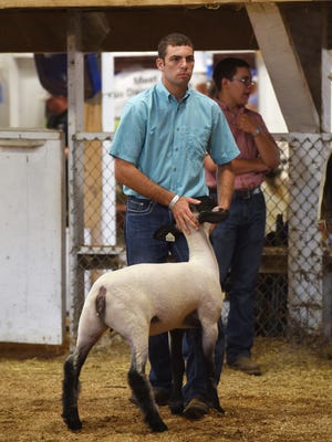 Bryce Vernon shows a lamb during the Showmen of Showmen competition at the Muskingum County Fair on Friday. Vernon won the competition.