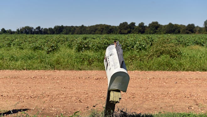 An old mail box sits along a dirt road in rural Holmes County, Mississippi in September 2017. Some locals are concerned rural black Mississippians will be left out of the census count in 2020 unless a targeted effort to reach them is deployed.