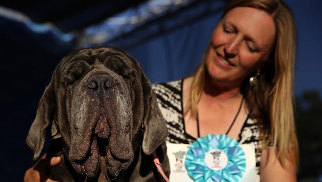 Shirley Zindler of Sebastopol, California sits with her Neapolitan Mastiff named Martha after winning the 2017 World's Ugliest Dog contest at the Sonoma-Marin Fair on June 23, 2017 in Petaluma, California.