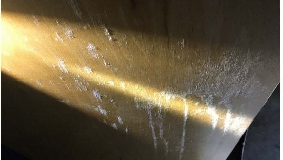 Mold was found in locations throughout Holly Glen Elementary School in Monroe Township, including on the door of Room 17.