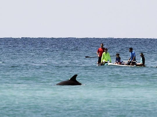 ‘Dr. Beach’ reveals top 10 best beaches in the U.S.