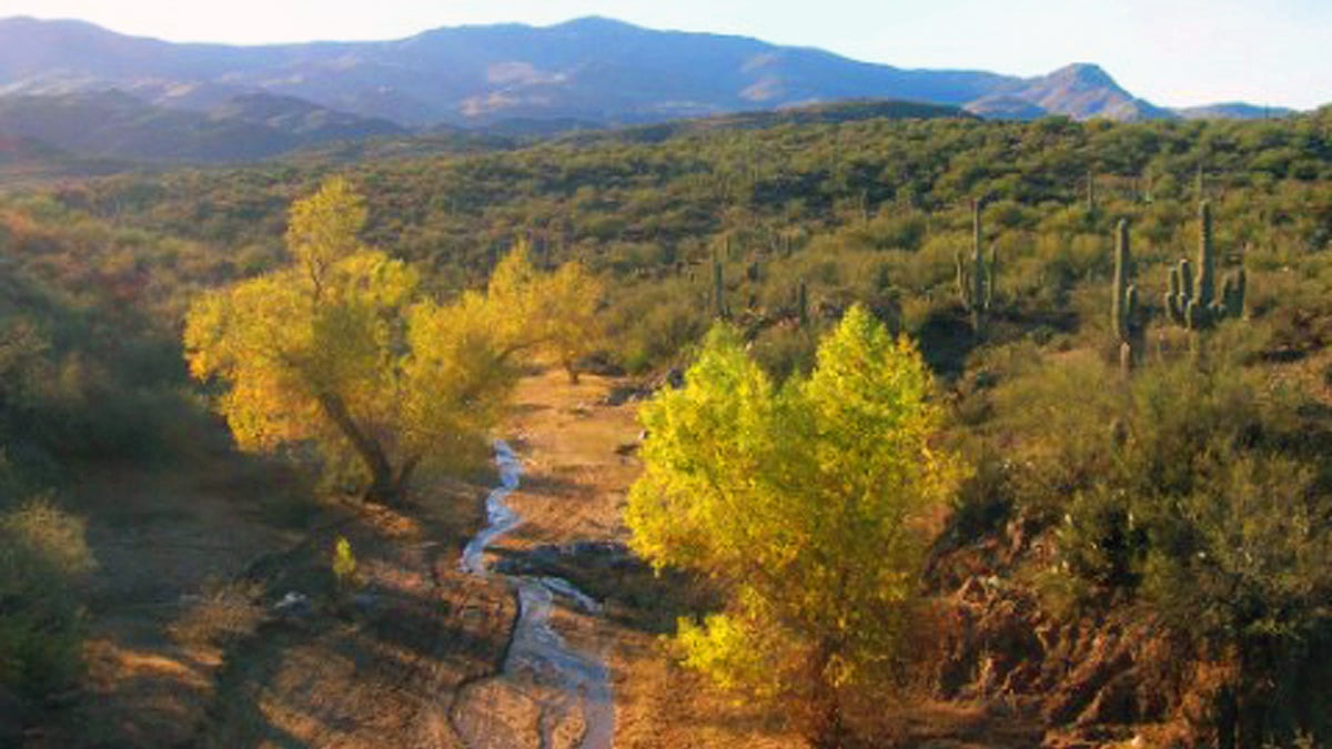 Arizona’s Hidden Gem: Black Canyon City’s Untamed Beauty