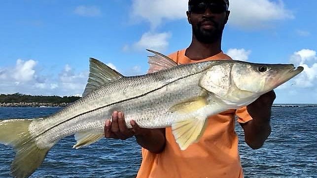 Kevin McCoy of Port St. Lucie caught and released big snook like this one Tuesday while fishing at Fort Pierce Inlet Jetty. Snook are catch and release until Sept. 1.