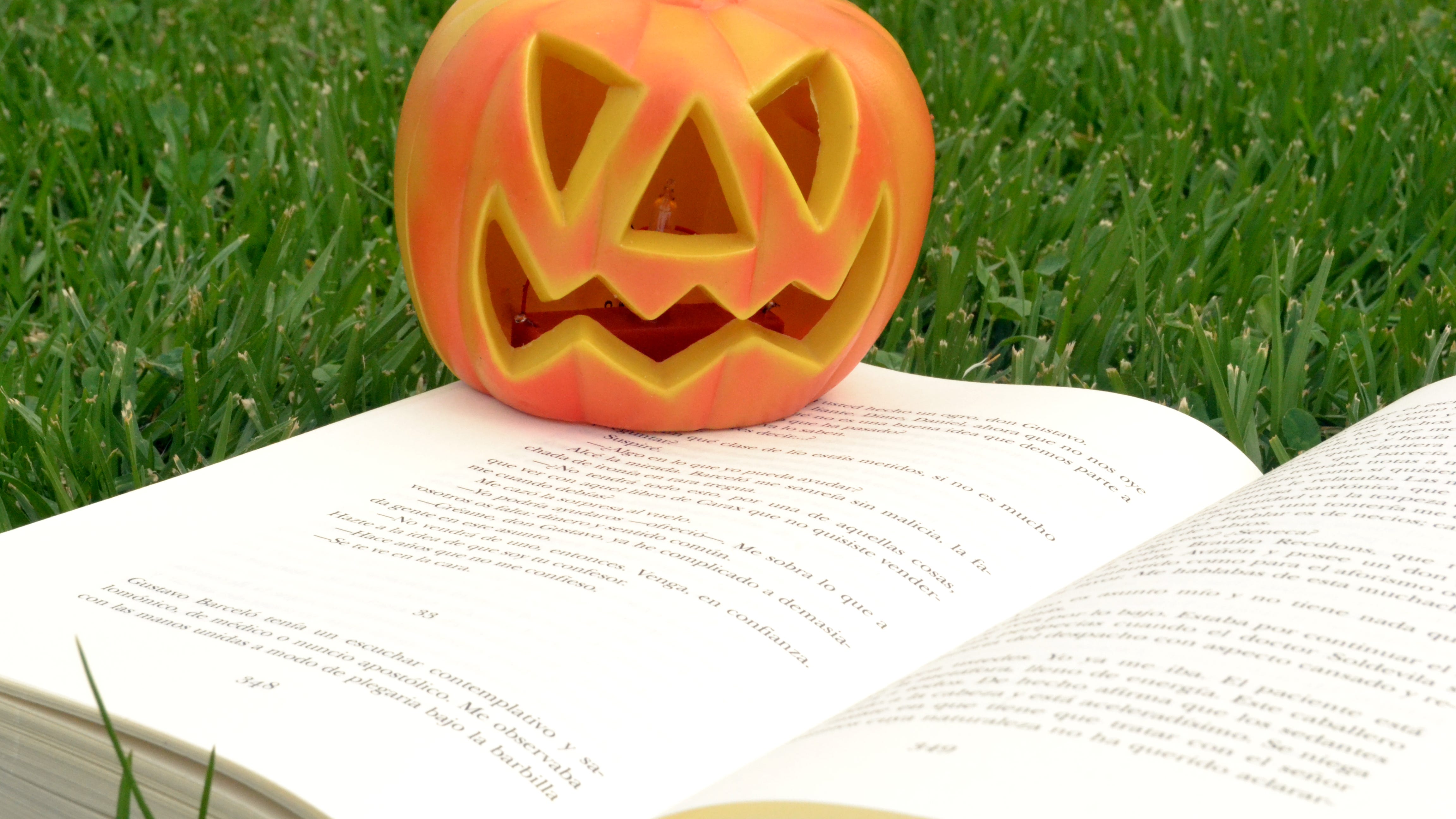 It's that time of year again — pumpkins, cold nights and scary stories. No October is complete without the reading of a great chilling tale. This book list has something for everyone— young and old, spooky fun to cringe-worthy horror. DepositPhotos (courtesy)